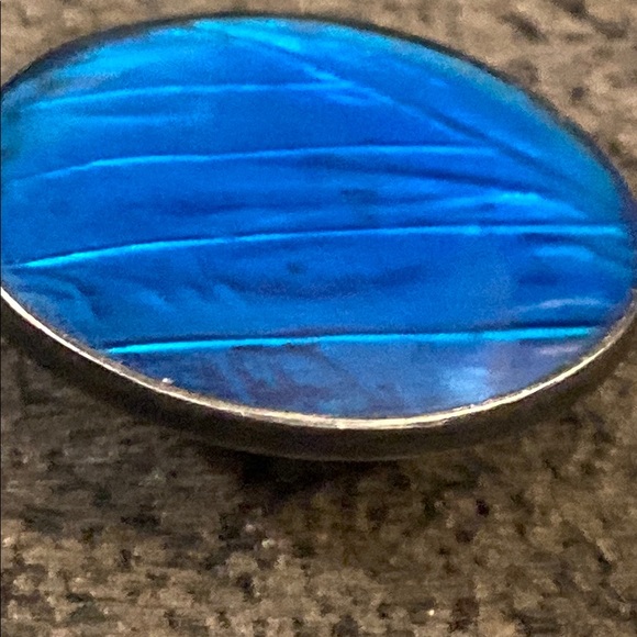 Morpho Butterfly Wing
Elegant Blue Round Brooch - Picture 6 of 10